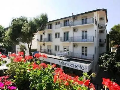 Hotel Felsinea Rimini